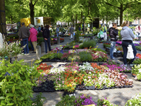900412 Afbeelding van de bloemen- en plantenmarkt op het Janskerkhof te Utrecht.